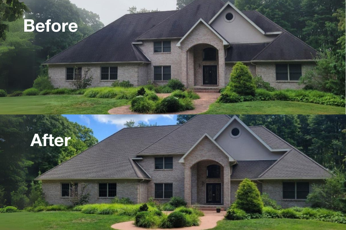 The Ultimate Guide to Using a Soft Wash System