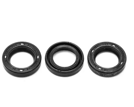 PUMP KIT CP PISTON OIL SEALS 15X24X5 (1X3 PCS)