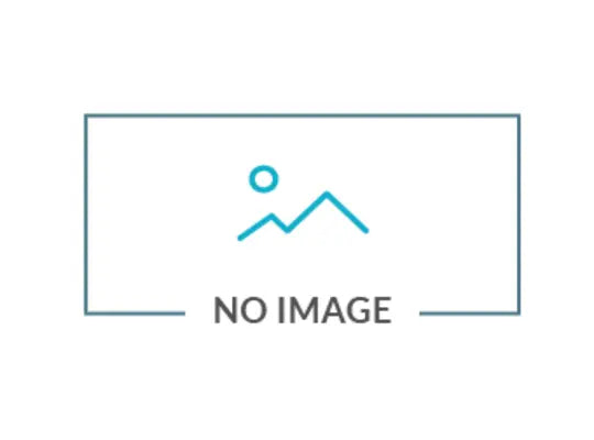 O-RING REPAIR KIT FOR SWIVEL FOR SS HOSE REEL KIT