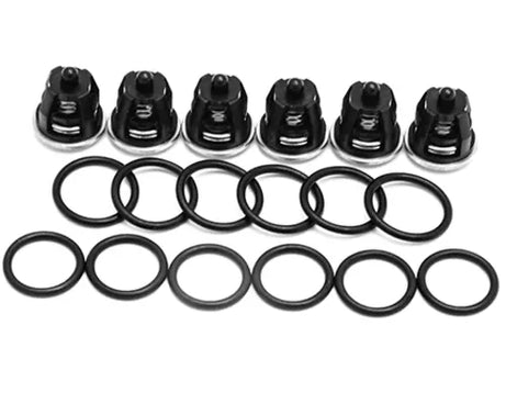 PUMP KIT CP VALVES + OR. (3X6 PCS)