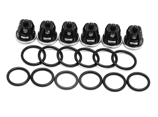PUMP KIT CP VALVES + OR. (3X6 PCS)