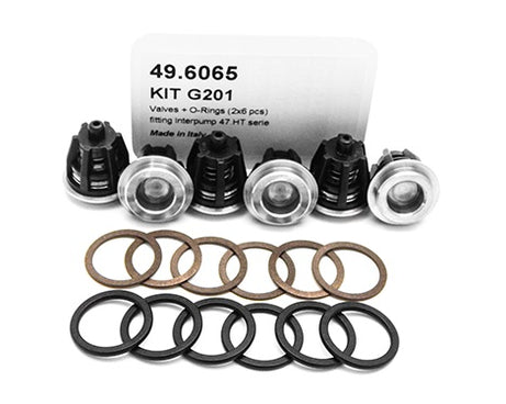 PUMP KIT G201 VALVES +O-R. (3X6 PCS)