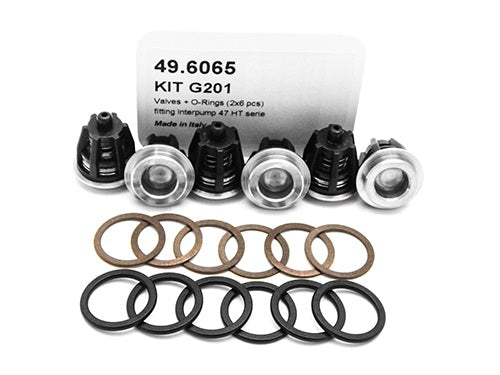 PUMP KIT G201 VALVES +O-R. (3X6 PCS)