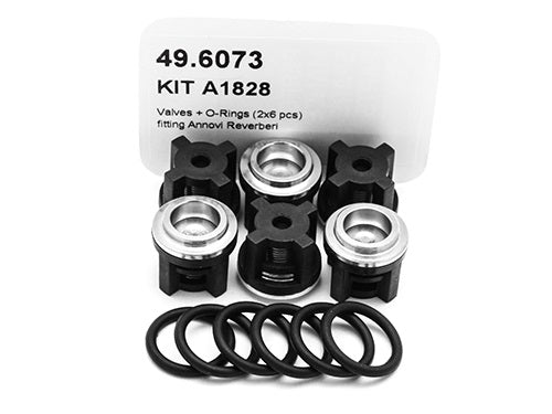 PUMP KIT A1828 VALVES +O-RINGS (2X6 PCS) - MTM Hydro