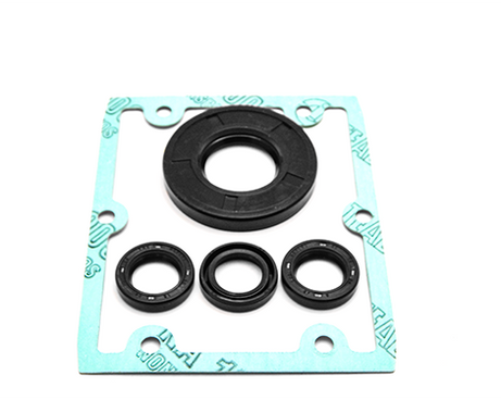 PUMP KIT A1865 OIL SEALS(HPE)