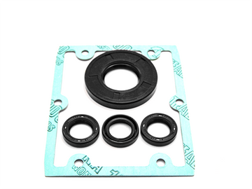 PUMP KIT A1865 OIL SEALS(HPE)