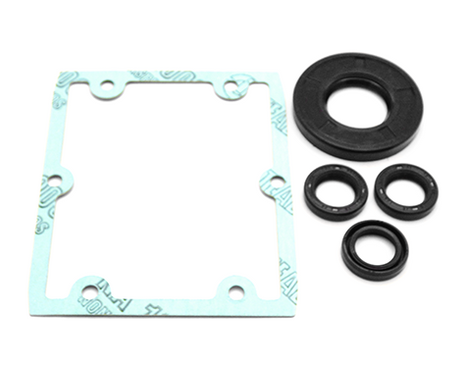 PUMP KIT A1865 OIL SEALS(HPE)
