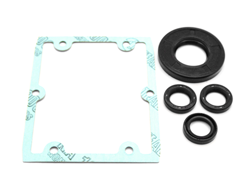 PUMP KIT A1865 OIL SEALS(HPE)