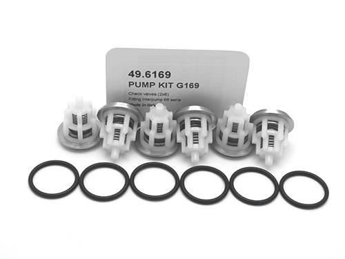 PUMP KIT G169 CHECK VALVES (2X6)