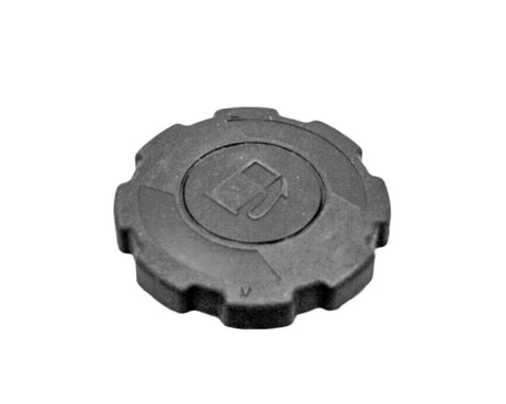 50.5307 FUEL TANK CAP GX SERIES-POLY WITH GASKET