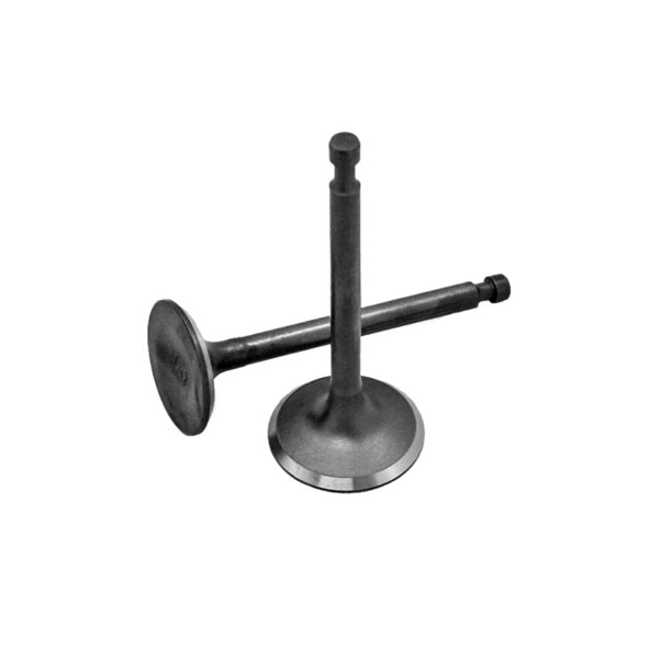 VALVE INTAKE/EXHAUST GX 160-200 SET